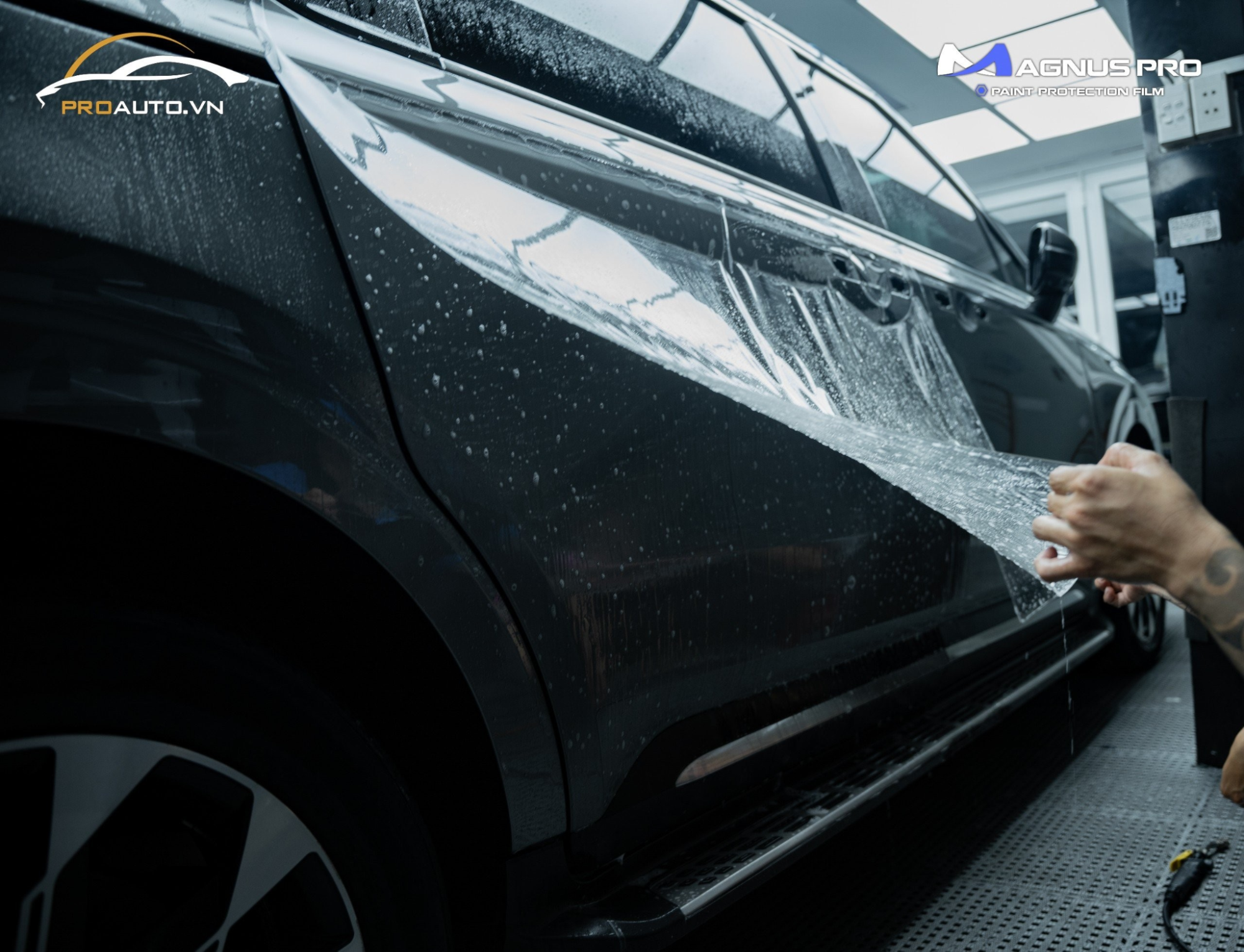 Lựa chọn vị trí dán ppf Magnus Pro cho Kia Carnival 