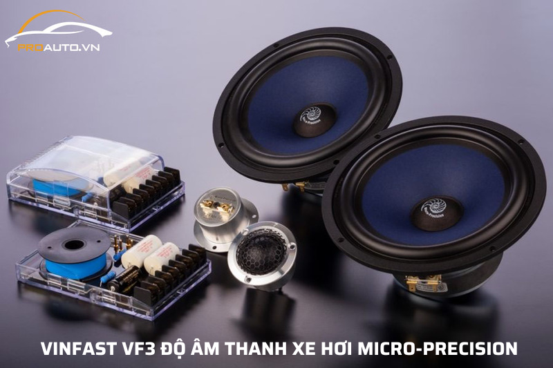Vinfast VF3 độ âm thanh xe hơi Micro-Precision