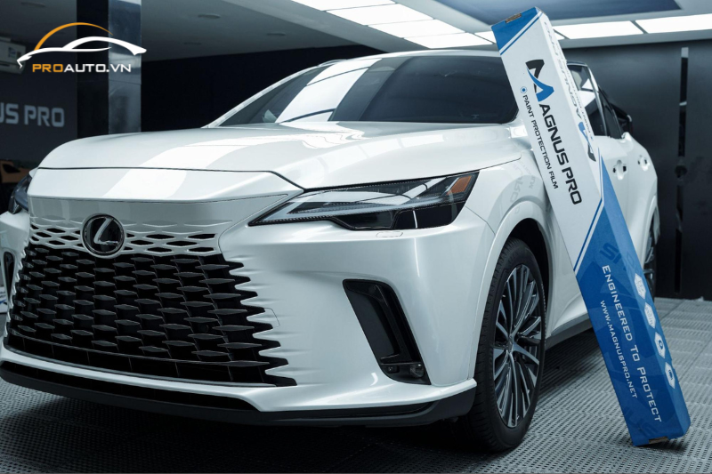 Dán phim PPF xe Lexus RX350: Bảng giá mới nhất
