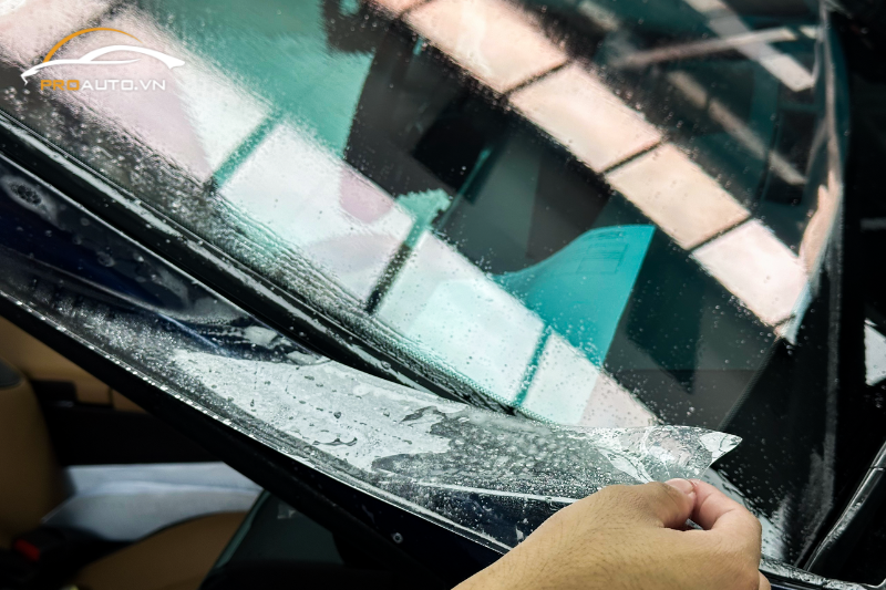 Lợi ích của việc dán phim PPF xe Lexus ES300H