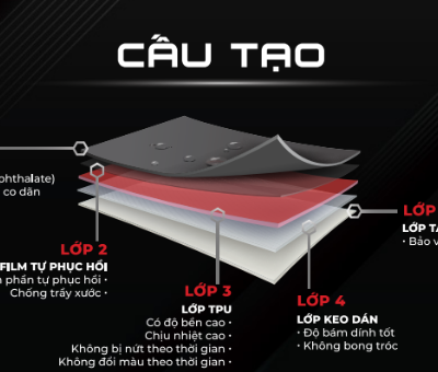 Cấu tạo của PPF SAP M