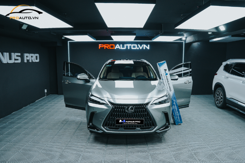 Dán phim PPF xe Lexus NX350H: Bảng giá 2024