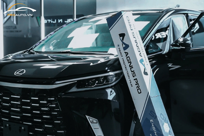 Lexus LM500 dán PPF Magnus Pro