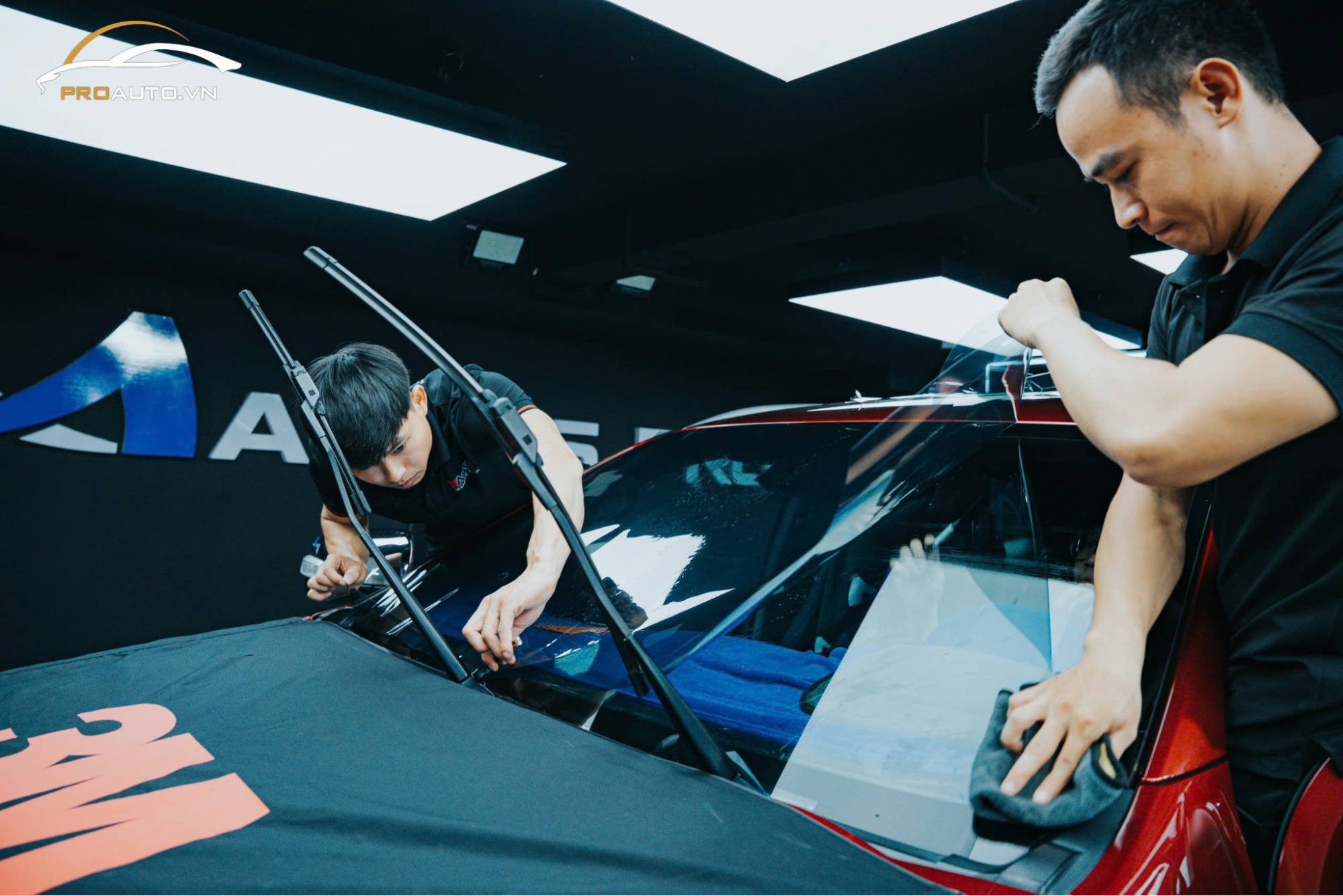 Lợi ích của phim 3M