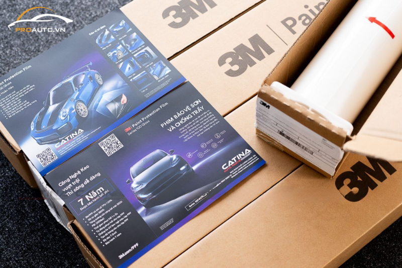 PPF 3M là gì?