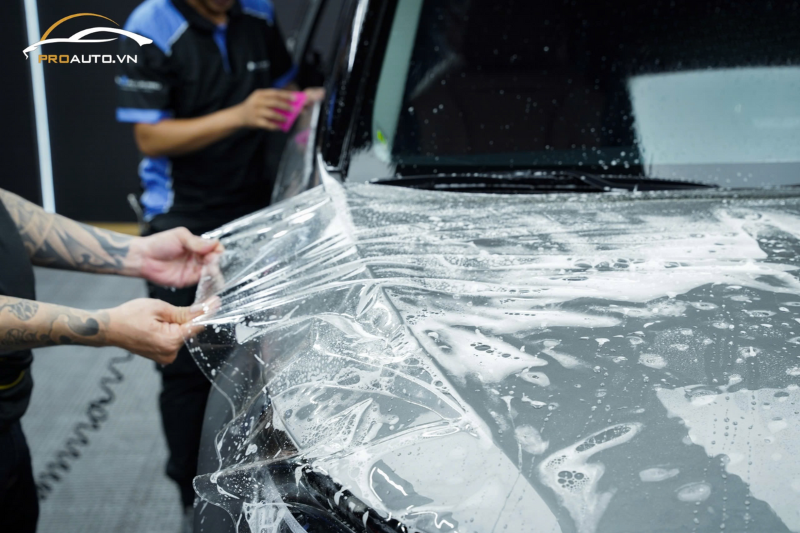 3m PPF film có mấy loại? So sánh các loại phim PPF 3M hiện nay