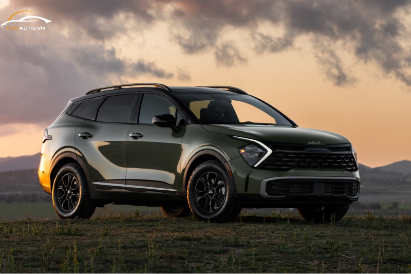 Dán ppf xe KIA Sportage 2025 - Bền đẹp, không lo trầy xước