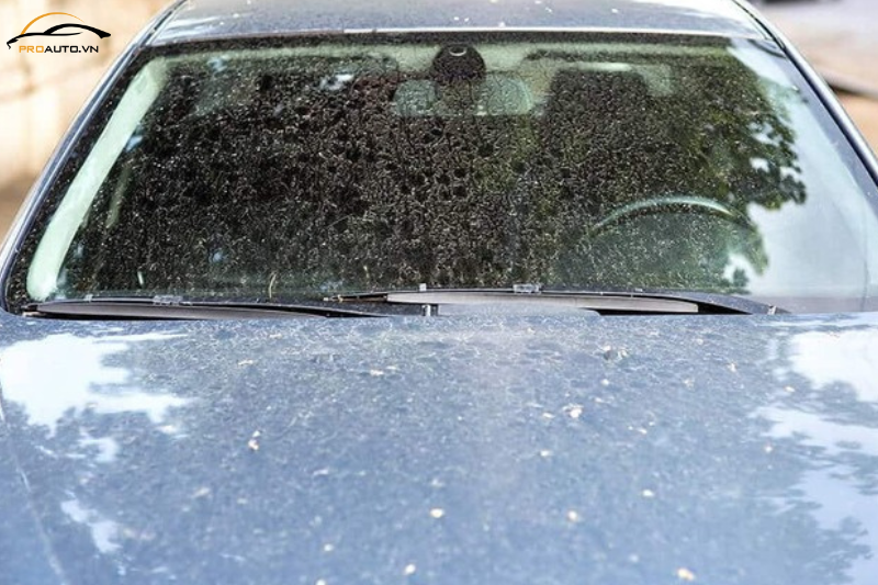 Tác nhân gây hại khi không dán PPF xe Volvo EC40