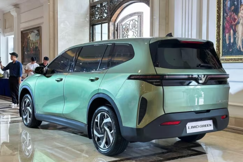 Giá Bán Và Chính Sách VinFast Limo Green