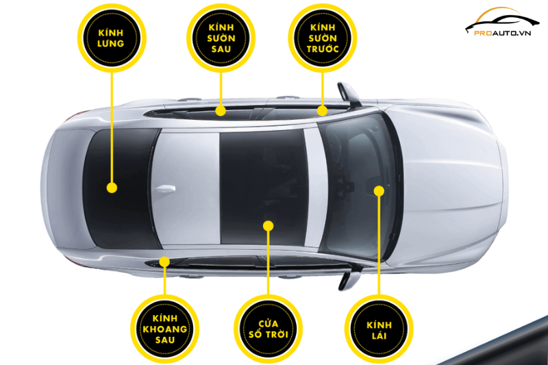 Các vị trí dán trên ô tô - Khóa học dán phim cách nhiệt ô tô
