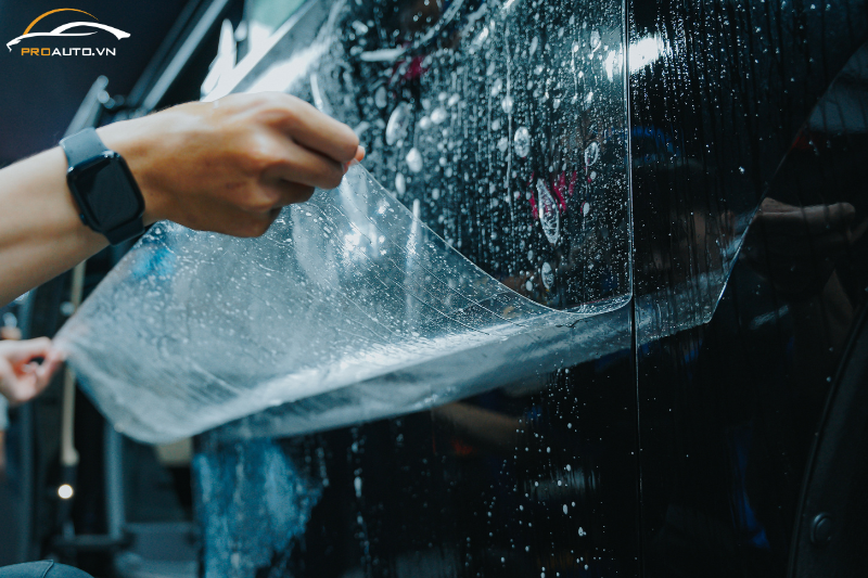 Dán PPF ô tô - Phụ kiện đồ chơi xe VinFast Limo Green